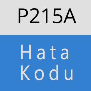 P215A hatasi