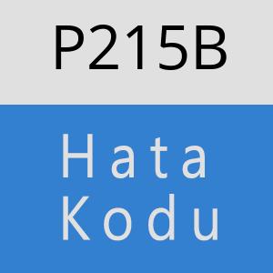 P215B hatasi