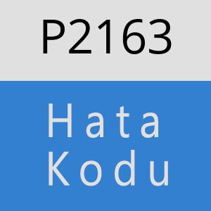 P2163 hatasi