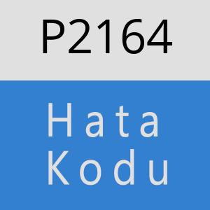 P2164 hatasi
