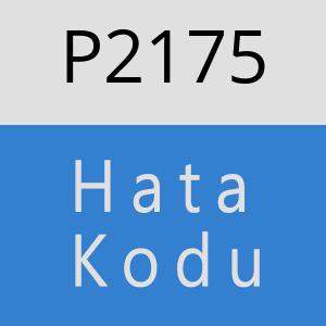 P2175 hatasi