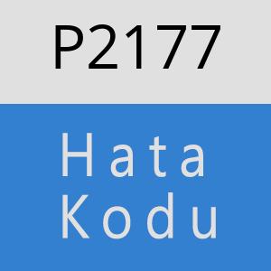 P2177 hatasi