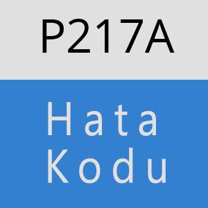 P217A hatasi