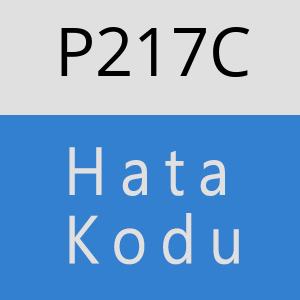 P217C hatasi