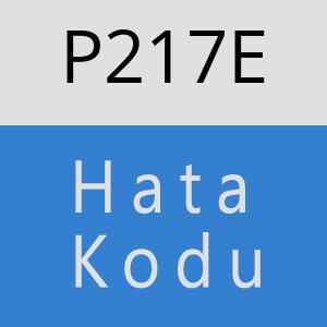 P217E hatasi