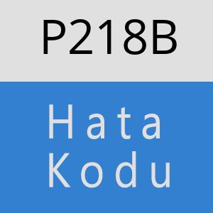 P218B hatasi