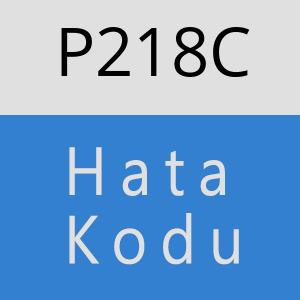 P218C hatasi