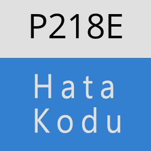 P218E hatasi