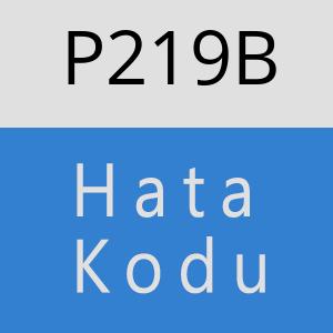 P219B hatasi