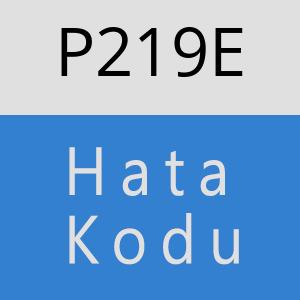 P219E hatasi