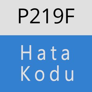 P219F hatasi