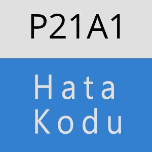 P21A1 hatasi