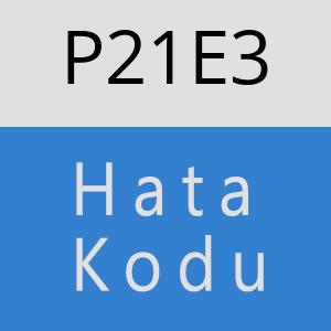 P21E3 hatasi