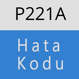 P221A hatasi