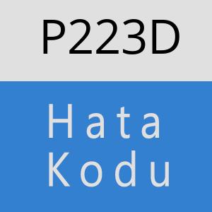 P223D hatasi