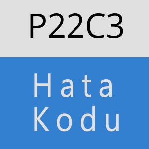 P22C3 hatasi