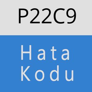 P22C9 hatasi