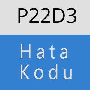 P22D3 hatasi