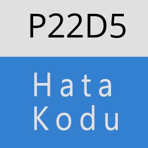 P22D5 hatasi