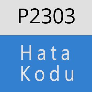 P2303 hatasi