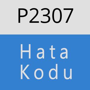 P2307 hatasi