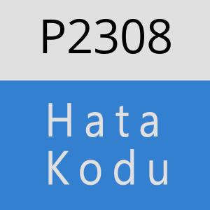 P2308 hatasi