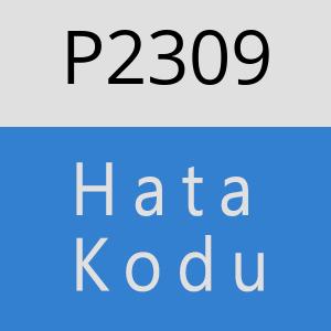 P2309 hatasi