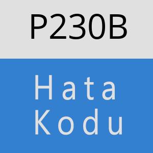 P230B hatasi