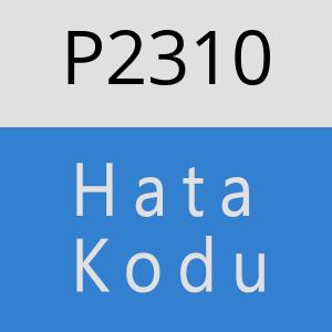 P2310 hatasi