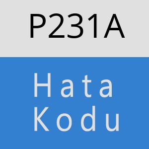 P231A hatasi