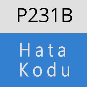 P231B hatasi