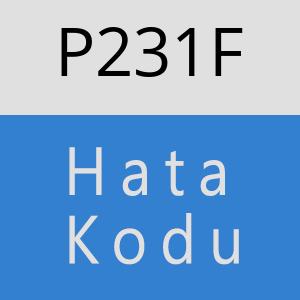 P231F hatasi