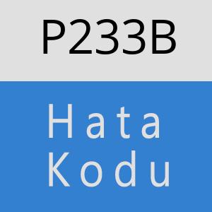 P233B hatasi