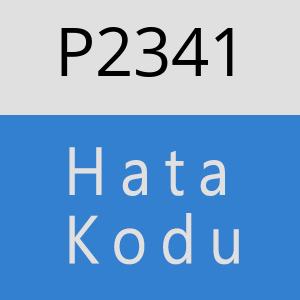 P2341 hatasi