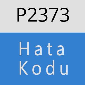 P2373 hatasi