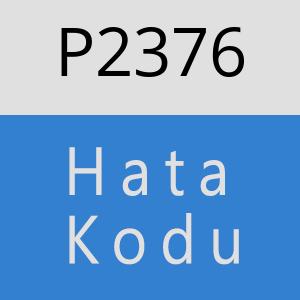 P2376 hatasi