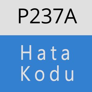 P237A hatasi