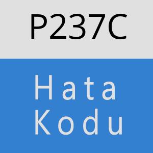 P237C hatasi