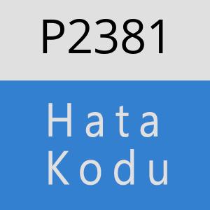 P2381 hatasi