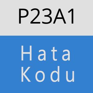 P23A1 hatasi