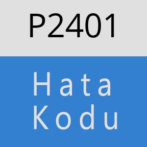 P2401 hatasi