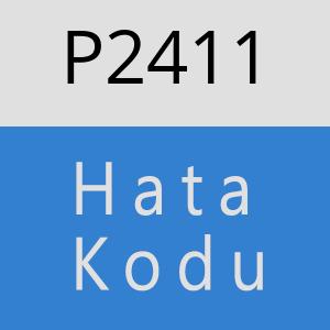 P2411 hatasi