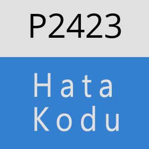 P2423 hatasi