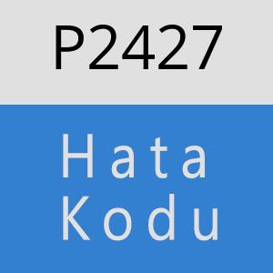 P2427 hatasi