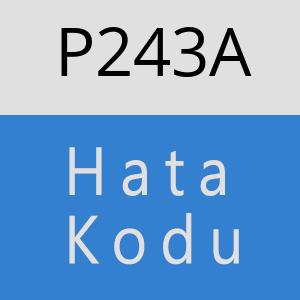 P243A hatasi