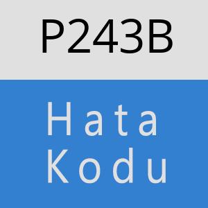 P243B hatasi