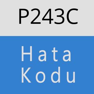 P243C hatasi