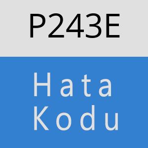 P243E hatasi