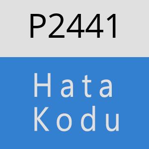 P2441 hatasi