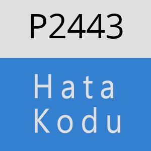 P2443 hatasi